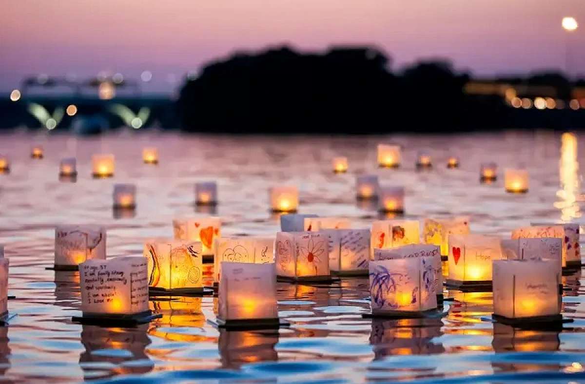 A pond full of lights