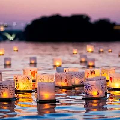 A pond full of lights